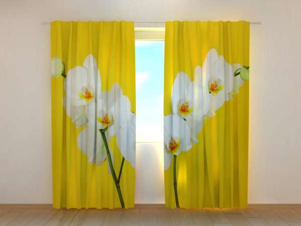 Photo curtain: WHITE ORCHIDS