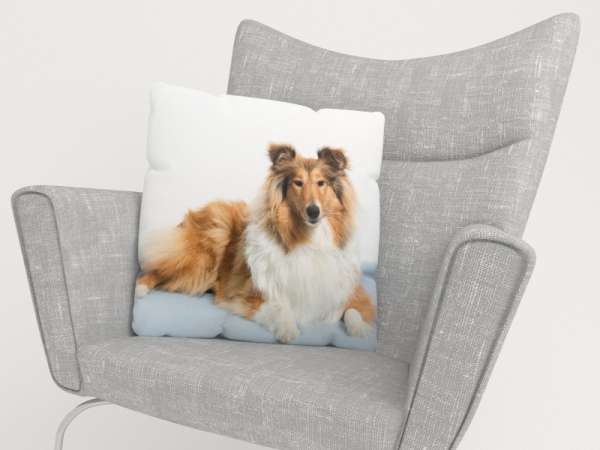 Pillowcase: BEAUTIFUL COLLIE