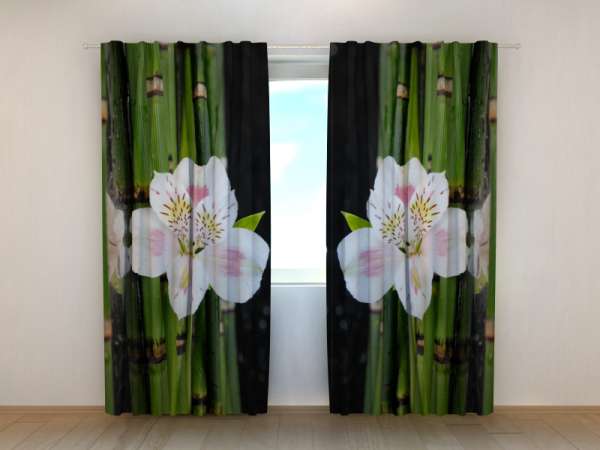 Photo curtain: WHITE ORCHID AND GREEN BAMBOO 3