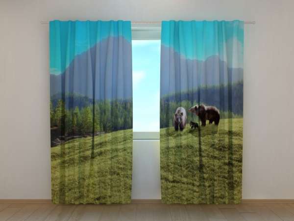 Photo curtain: FAMILY OF BEARS IN A FOREST GLADE