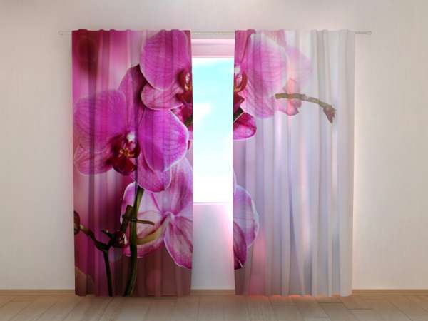 Photo curtain: PURPLE ORCHID