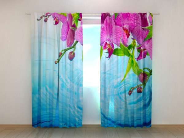 Photo curtain: AMAZING ORCHID