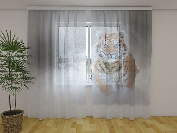 Chiffon curtain: SIBERIAN TIGER 3