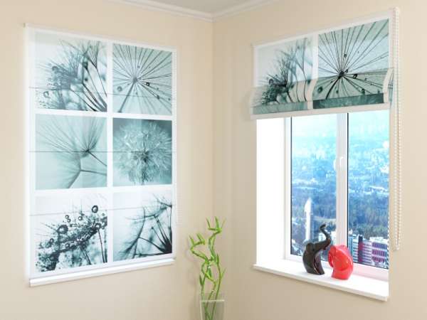 Roman blind: DANDELION COLLAGE