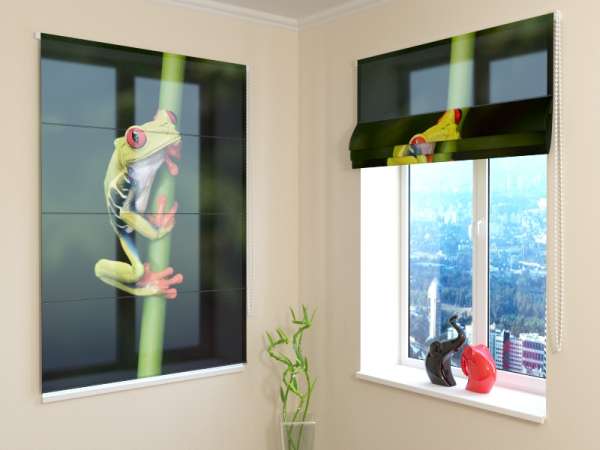 Roman blind: LITTLE FROG