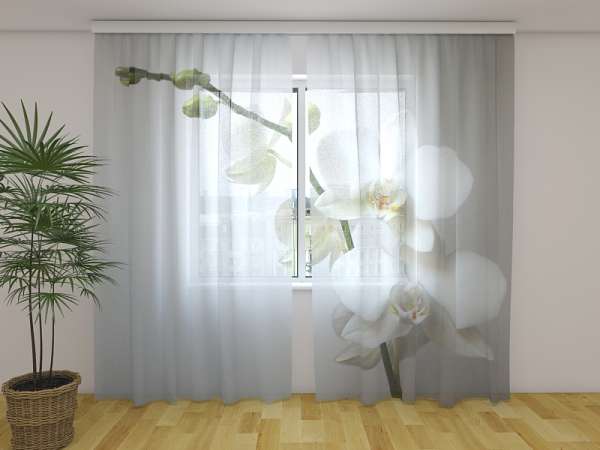 Chiffon curtain: RIGA ORCHID