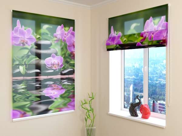 Roman blind: ORCHIDS IN THE GARDEN