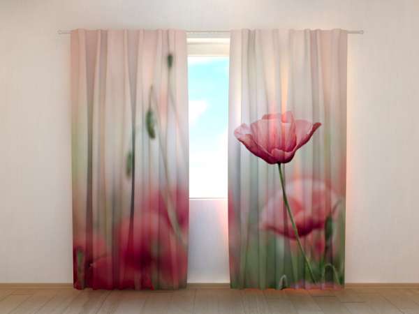 Photo curtain: TOUCHING BEAUTY