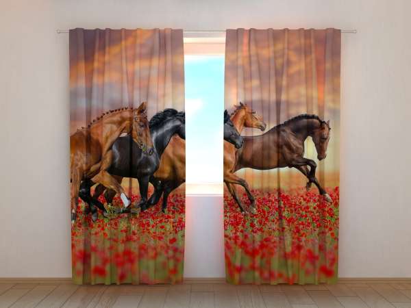 Photo curtain: HORSES IN THE POPPIES FIELD