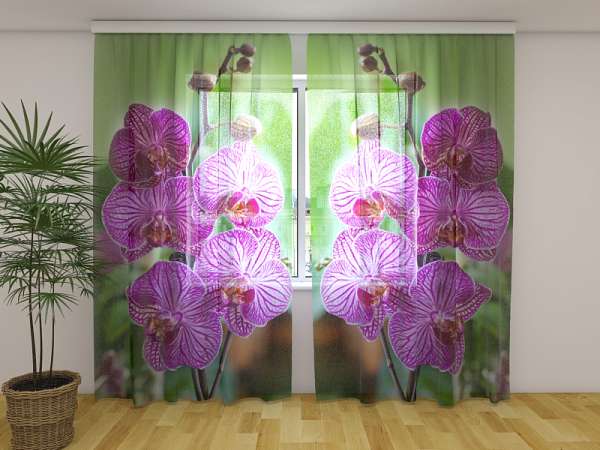 Chiffon curtain: BABYLON ORCHID