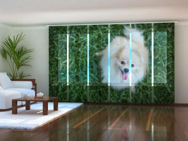 Sliding panel curtain (1-6 pts.): HAPPY POMERANIAN DOG