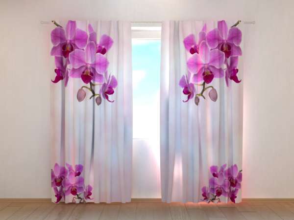 Photo curtain: COLIBRI ORCHIDS