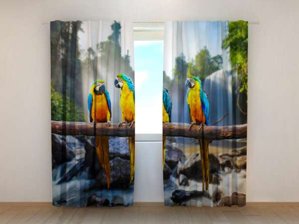 Photo curtain: THREE PARROTS