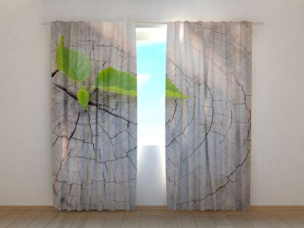 Photo curtain: TREE STUMP AND SPROUT
