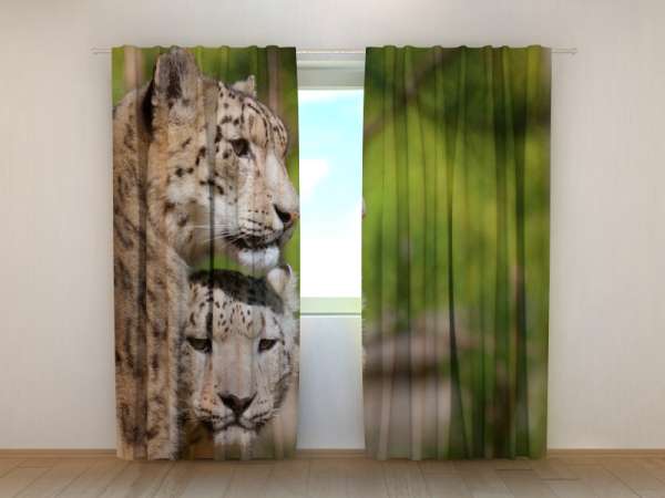 Photo curtain: TWO LEOPARDS