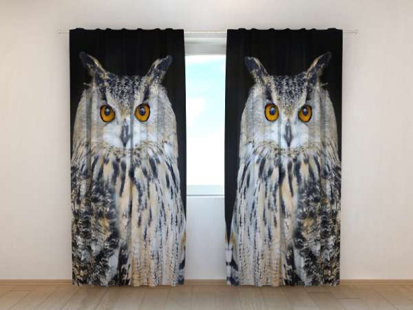 Photo curtain: ATTENTIVE OWL