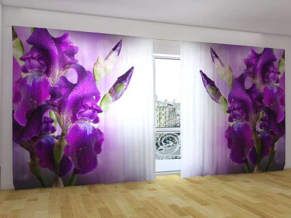 Panoramic curtain: VELVET IRISES