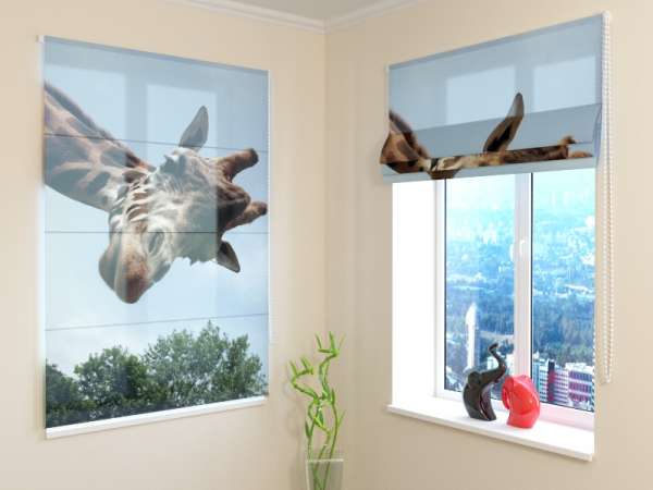 Roman blind: GIRAFFE