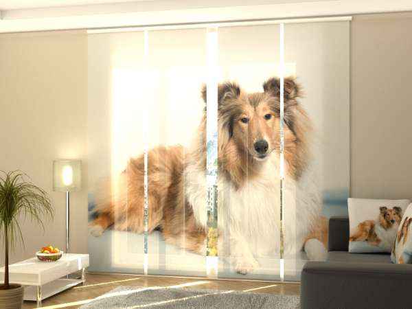 Sliding panel curtain (1-4 pts.): BEAUTIFUL COLLIE