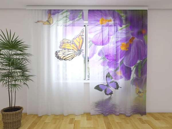 Chiffon curtain: CROCUSES AND BUTTERFLIES