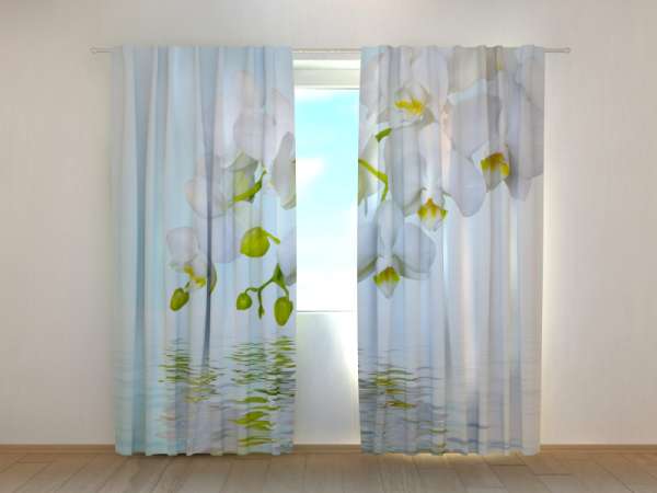 Photo curtain: WHITE ORCHIDS WATER MIRRORING