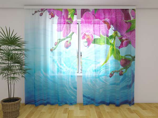 Chiffon curtain: AMAZING ORCHID