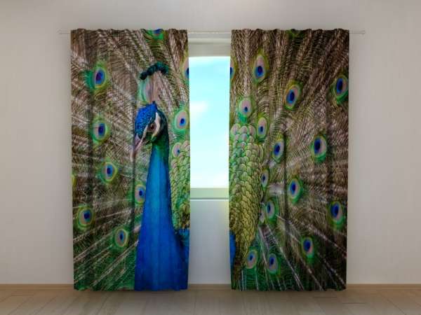 Photo curtain: AMAZING PEACOCK