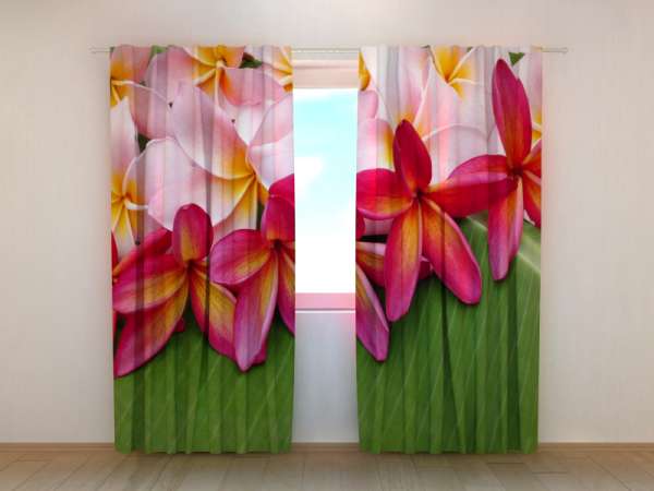 Photo curtain: TROPICAL FLOWERS