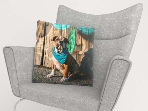 Pillowcase: STYLISH ENGLISH BULLDOG PUPPY