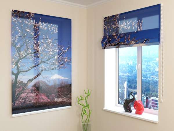 Roman blind: FUJI