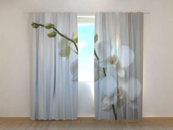 Photo curtain: RIGA ORCHID