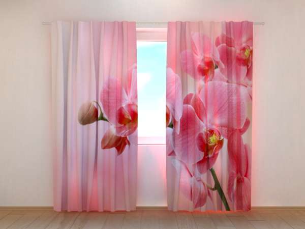 Photo curtain: PINK ORCHID