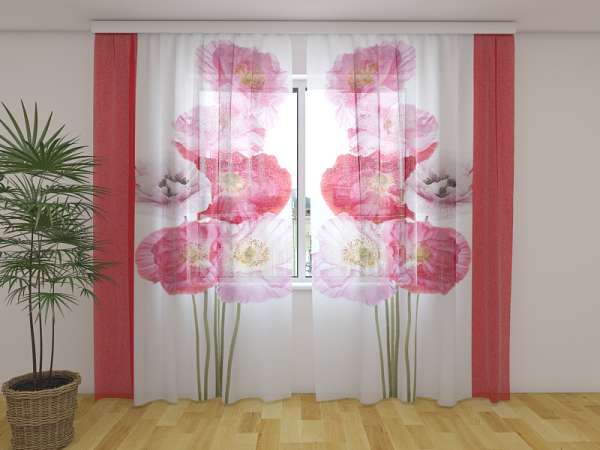 Chiffon curtain: SCARLET SONG