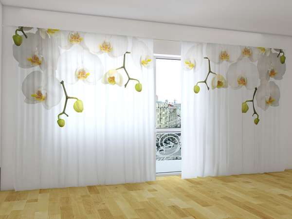 Panoramic curtain: BIG WHITE ORCHIDS