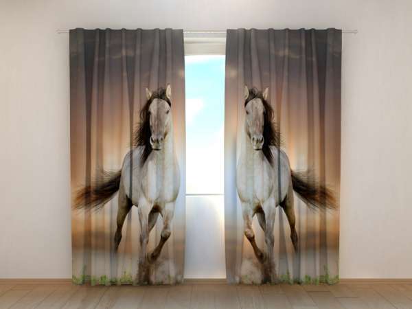 Photo curtain: TWO HORSES