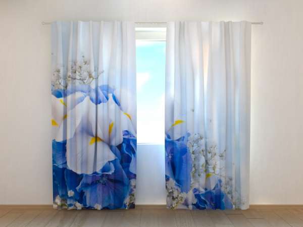 Photo curtain: BLUE IRIS FLOWERS