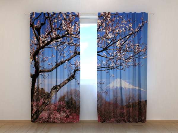 Photo curtain: FUJI