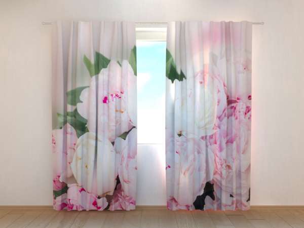 Photo curtain: FRESH PINK PEONIES