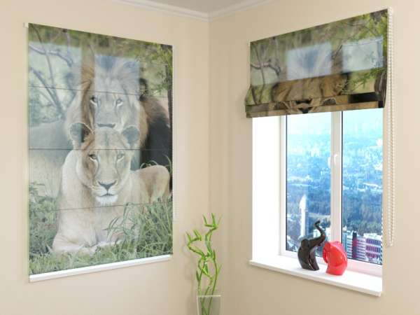 Roman blind: LIONS IN THE WILD