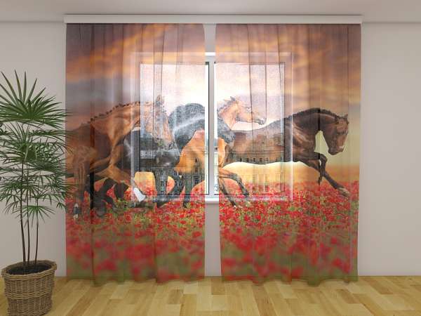 Chiffon curtain: HORSES IN THE POPPIES FIELD