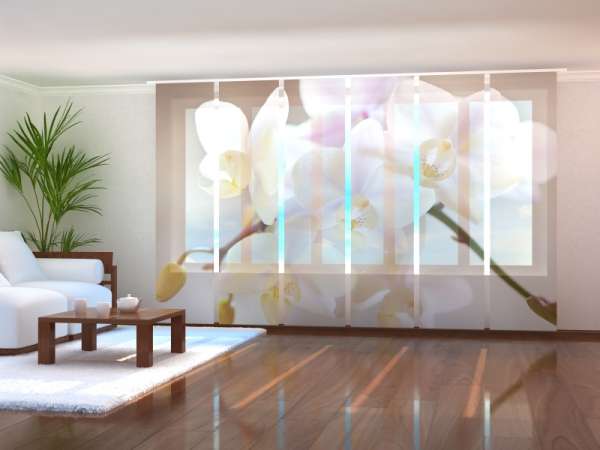 Sliding panel curtain (1-6 pts.): ELEGANT ORCHID