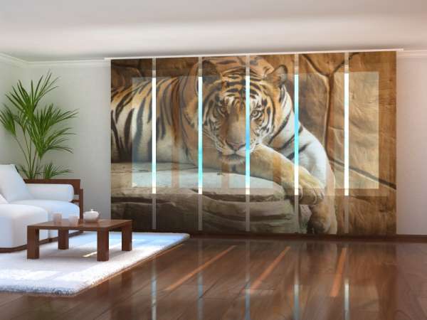 Sliding panel curtain (1-6 pts.): TIGER ON A ROCK