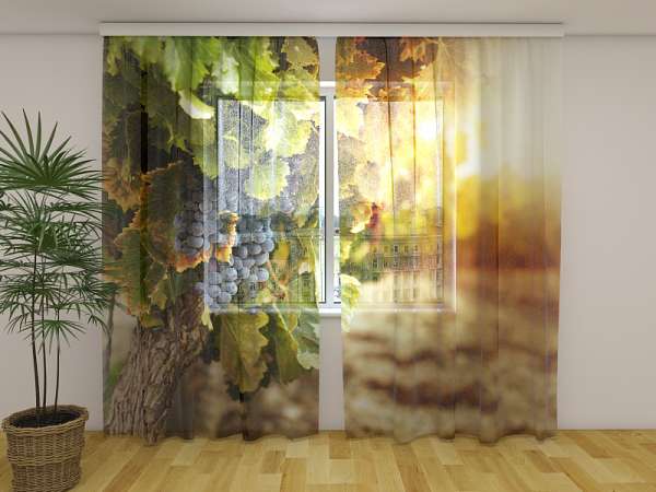 Chiffon curtain: AUTUMN GRAPES