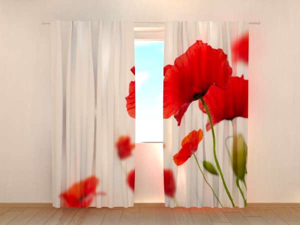 Photo curtain: RED AND WHITE