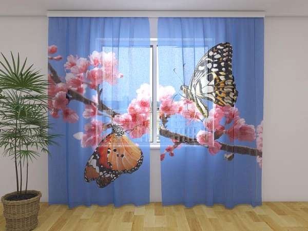 Chiffon curtain: TWO BUTTERFLIES