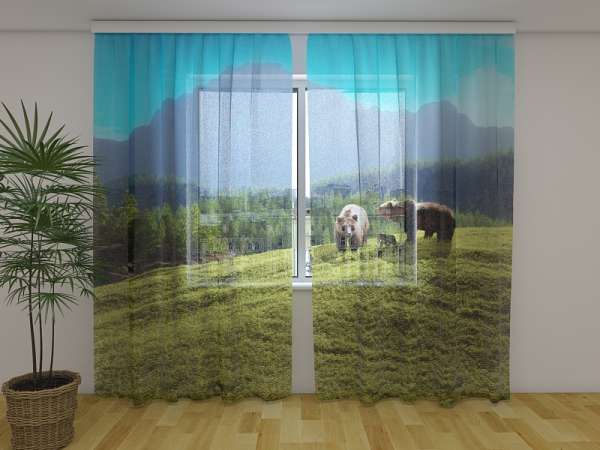 Chiffon curtain: FAMILY OF BEARS IN A FOREST GLADE