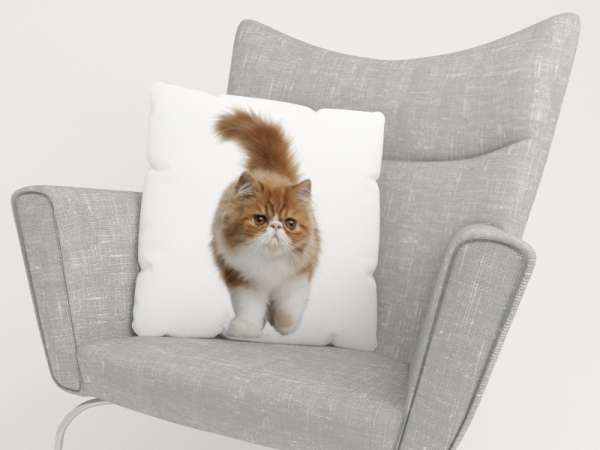 Pillowcase: FLUFFY CAT