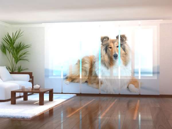 Sliding panel curtain (1-6 pts.): BEAUTIFUL COLLIE