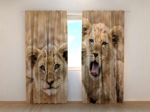 Photo curtain: TWO LION CUB