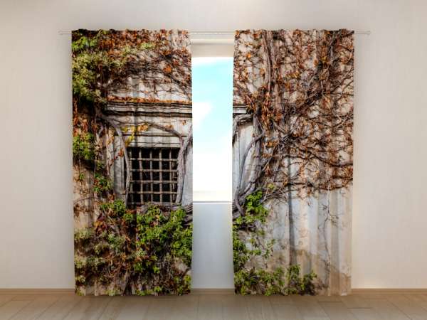 Photo curtain: GREEN WALL OF BEAUTY OLD PALACE